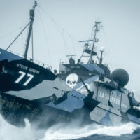 PR: Kirsch Import generiert eine Viertelmillion Euro für Sea Shepherd