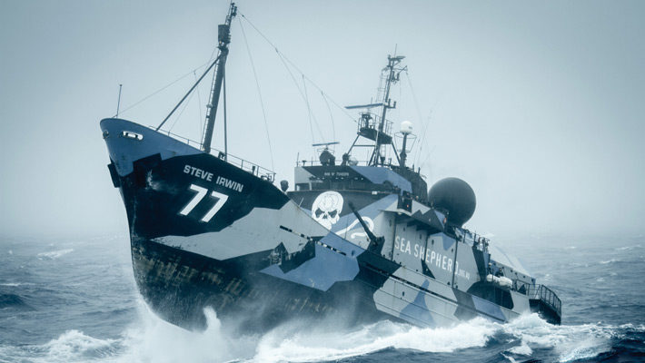 PR: Kirsch Import generiert eine Viertelmillion Euro für Sea Shepherd
